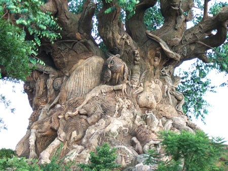 Tree of Life: 1/42 sec., F5.0 and ISO 80