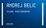 Featured Site: Andrej Belic Scuba Photography