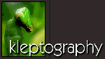 Don Ellis' Kleptography