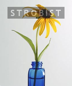 Featured Site: Strobist