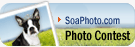 Samsung Photo Contests
