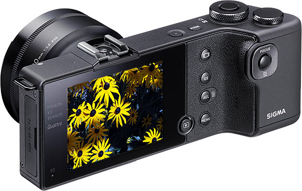 Sigma dp2 Quattro Image Quality – Photoxels