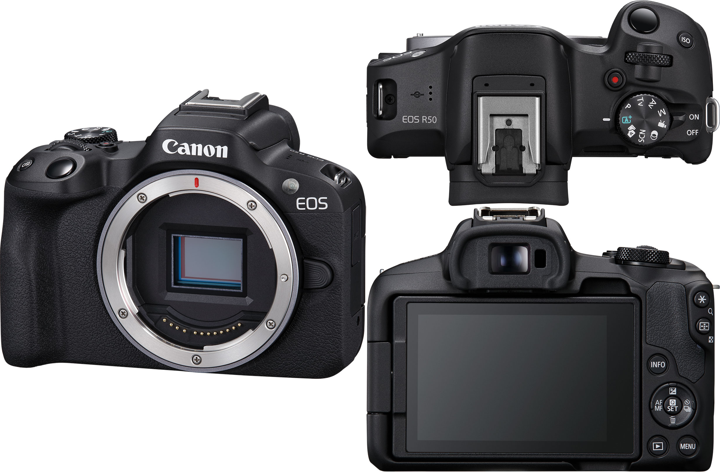 Canon Adds Entry-Level R50 (APS-C) And R8 (Full-Frame) Mirrorless ...